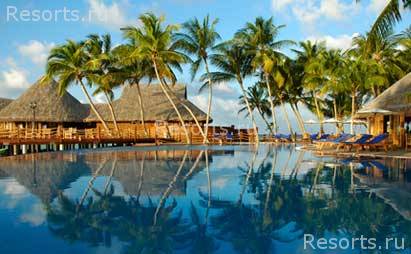 Vilu Reef Beach & SPA Resort 11